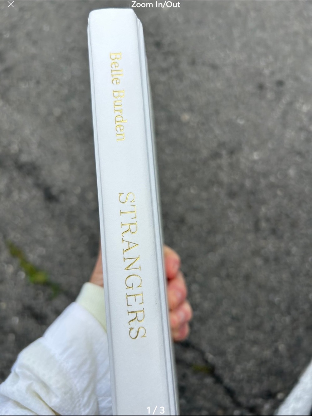 Strangers Memoir by Belle Burden Book